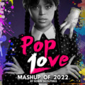 Robin Skouteris - PopLove 10 (Mashup of 2022)