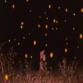 陈俊源 - 萤火虫