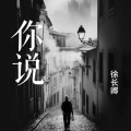 徐长卿 - 你说(走心版)