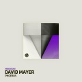 David Mayer - Phoebus