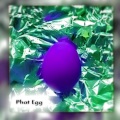 Phat Egg、MJW - EggJW