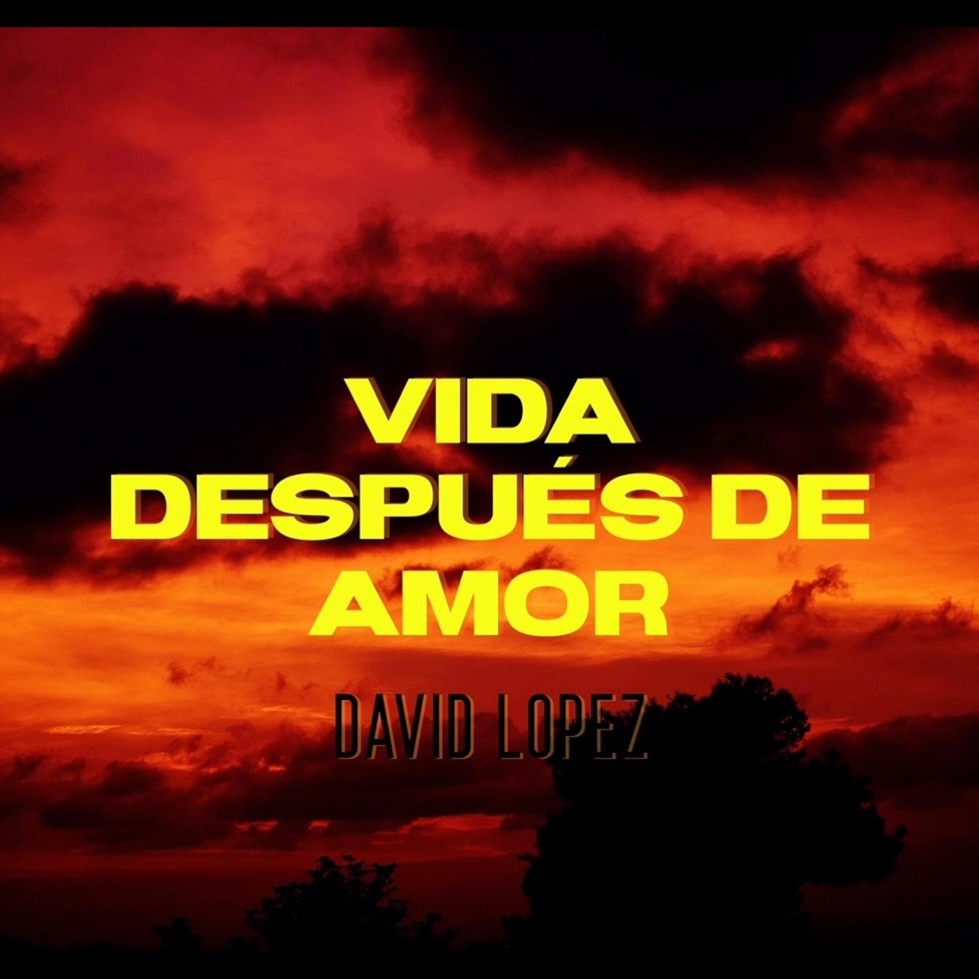 david lopez - For the Ones