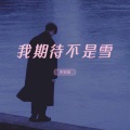 朱铁雄 - 烟花短暂 我们永恒