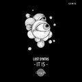 Lost Synths - It Is