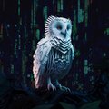 badkuzu - The Boy and the Owl