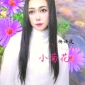 小菊花