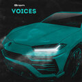 Voices