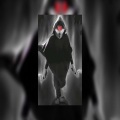 Harrykahanhai、SirChox、Krishan Singh - DEATH WOLF PHONK Slowed Reverb)