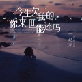 赵洋 - 今生欠我的你来世能还吗