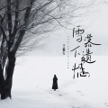 雪落下遗憾