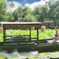 彭子轩 - 当那一天来临