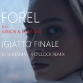 (G)atto Finale (feat. Massiminor & Lorraine) (Dj Sheesma