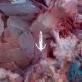 Fideles - Avior