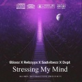 Stressing My Mind (feat. Rebzyyx, Sadvibezz & Dxpt) (REMIX|Explicit)