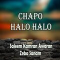 Saleem Kamran Awaran、Zeba Sanam - Tou Godishtari