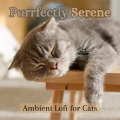 Pet Sandman、RelaxMyCat、Cat Music Dreams - Midnight Cat Serenade: Lofi Dreams for Restful Nights