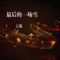 最后的一场雪