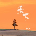 天下