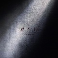 小京东 - 罗生门follow (2024释怀版)