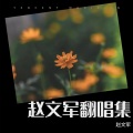 赵文军 - 肉多 (Live)