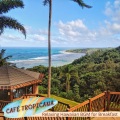Café Tropicana - A Pink Butterfly