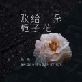 败给一朵栀子花