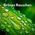 Grünes Rauschen