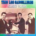 Trío Los Cancilleres、ricardo rodriguez - Voy a Robarte un Beso