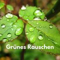 Grünes Rauschen