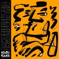 Sam Fribush、Charlie Hunter、Calvin Napper - People Please