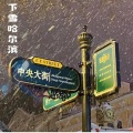 徐长卿、阿颖不吃香菜 - 下雪哈尔滨