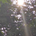 蓝雨儿翻唱
