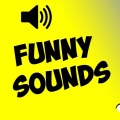 nguyễn văn mạnh - funny sounds Funny Laughing Can't Pick Up Your Mouth