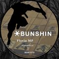 Flabio Molin Pradel、Flavio MP - Alphabetical