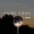 谢松亮 - 你总要学会往前走