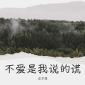 不爱是我说的谎