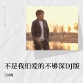 不是我们爱的不够深 (DJ彭锐版)