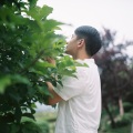 安迪明、引泉 - 笑红尘