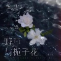 林三七 - 野草与栀子花 (0.8X版)