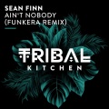 Ain't Nobody (Funkera Remix)