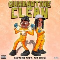 Quarantine Clean (Explicit)