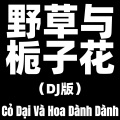 野草与栀子花 (DJ版|Cỏ Dại Và Hoa Dành Dành)