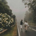 Akdas Hayat - Somewhere Only We Know