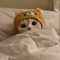 Jesp、bexter - Chipi Chipi Chapa Chapa