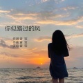 音宝 - 你似路过的风