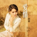 爱情的蛊( DJ版 )