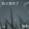 林佳樹 - 我又想你了