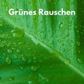 Weißes Rauschen、Weißes Rauschen FX、Weißes Rauschen App - Grünes Rauschen
