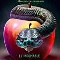 El Indomable - Amigos Con Derechos