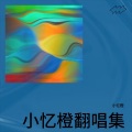 小忆橙 - 你的名字是世界瞒着我最大的事情